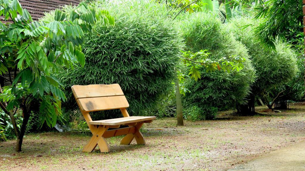 Clayfingers Art Cottage Thrissur エクステリア 写真