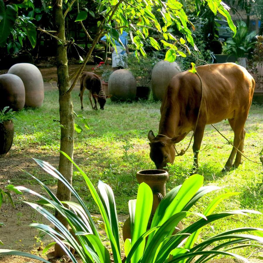 Clayfingers Art Cottage Thrissur エクステリア 写真