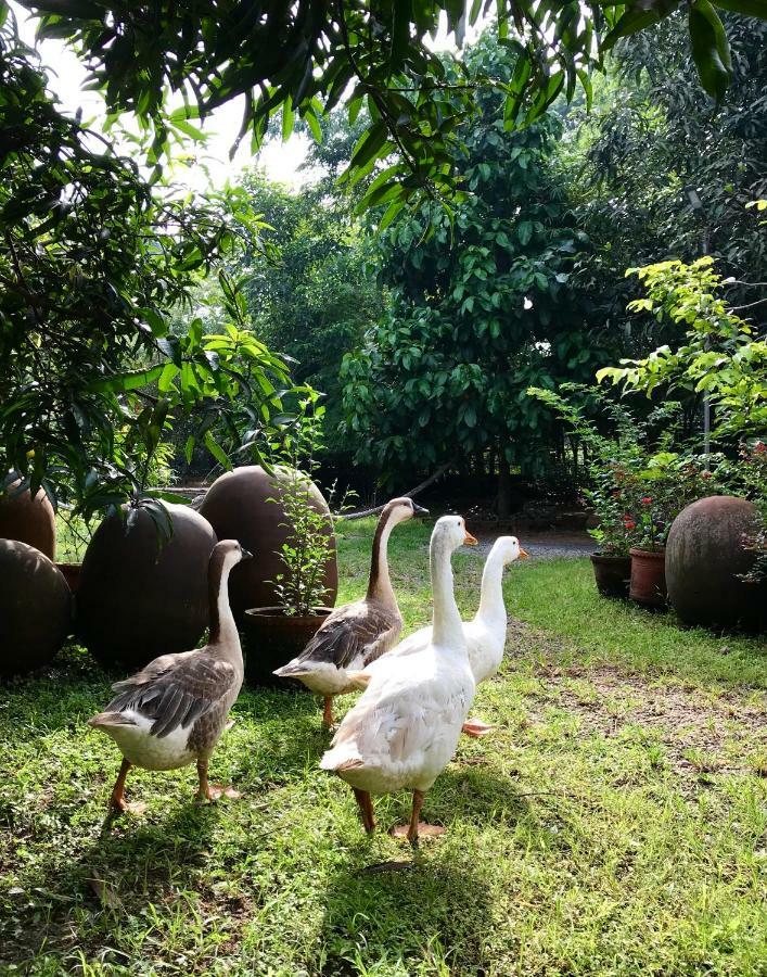 Clayfingers Art Cottage Thrissur エクステリア 写真